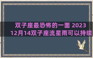 双子座最恐怖的一面 2023 12月14双子座流星雨可以持续多久